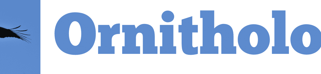 Sortie Ornithologique